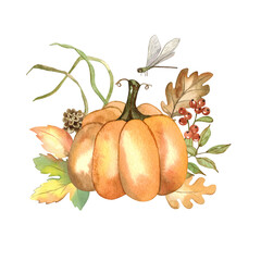Pumpkins, autumn leaves and dragonfly. Watercolor hand drawn composition. Isolated on white. Thanksgiving, harvest day, autumn farm fair.