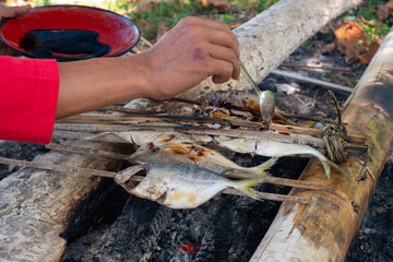Grilling fresh fish on bamboo skewers with sweet soy sauce (kecap manis) as seasoning on the beach. A simple and traditional way.