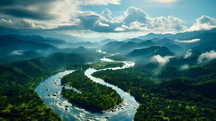 Fotobehang A river in the jungle captured by drone (Generative AI) © Robert Leßmann