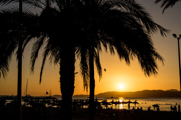 Beautiful tropical sunset on the beach