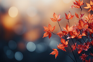 Naklejka na ściany i meble Autumn leaves and sunlight background with copy space for text: Red and yellow maple leaves with soft focus light and bokeh background.