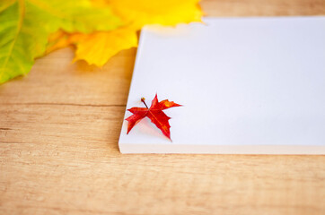 Notepad lies on a wooden background with yellow autumn leaves. Back to school