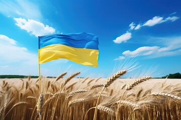 Patriotic Beauty: Ukrainian Flag in a Grain Fiel