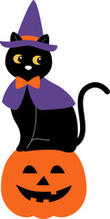 halloween black cat