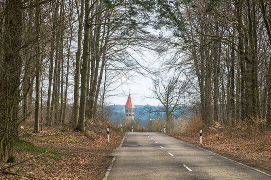 Forest road to Clervaux Abbey, Luxembourg