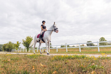 Pretty girl, a horseback rider riding beautiful snow white horse, walking along a path on a sunny...