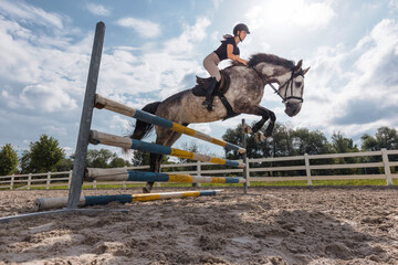 Showjumping gray horse with female jockey, jumping over hurdles, on a sunny day. Equestrian sport concept.