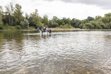 Gray horse with a female rider in the saddle walking through river water. Ecotourism and equestrian recreation sport concept.