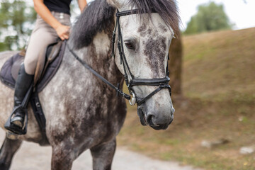 Obraz premium Young woman and her beautiful red horse during calm trail ride. Ecotourism and animal care concepts.