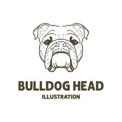 Hand Drawn Retro Vintage Sketch Bulldog Head Face Illustration Design