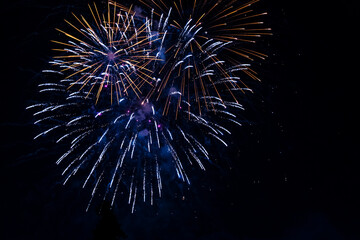 Obraz premium Beautiful blue firework at night. Selective focus. 