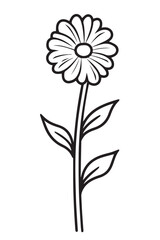 flower coloring page book outline
