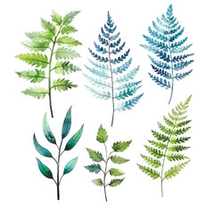 Nature's Brushstrokes: Watercolor Colorful Ferns in Vibrant Hues, White Background
