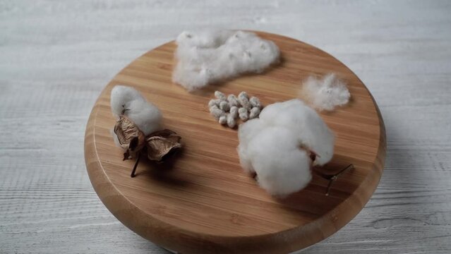 cotton flower, cotton wool, cotton seeds, spinning on a wooden surface