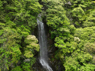 愛媛県松野町　天ヶ滝