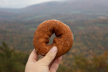 Apple Cider Donut