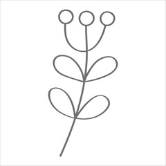 branch with buds and leaves. Hand drawn vector llustration