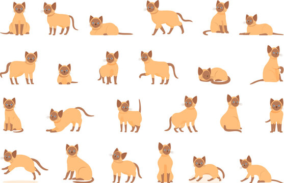 Siamese cat icons set cartoon vector. Sleep animal. Play shelf