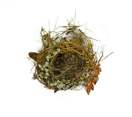 Top view of empty bird nest isolated on white
