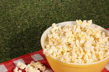 Bowl of Popcorn on Picnic Blanket