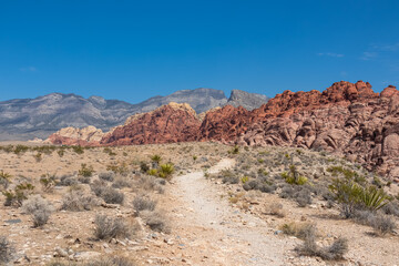 Close up view of rock formation of Aztec sandstone slickrock rock formation on the Calico Hills Tank Trail, Red Rock Canyon National Conservation Area in Mojave Desert near Las Vegas, Nevada, USA