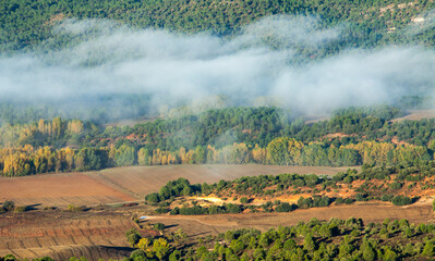 Niebla sobre los &aacute;rboles de color oto&ntilde;al. 