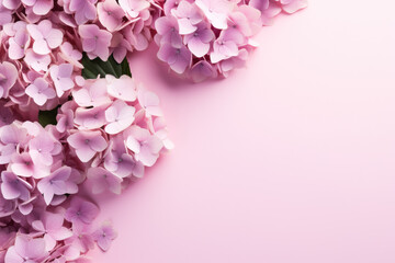Flowers composition: hydrangea flowers on pastel pink background flat lay top view copy space 