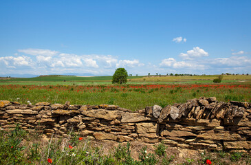 Muro de piedra seca, declarado Patrimonio de la Humanidad
