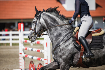 Horse jumping over hurdles. Equestrian show jumping with unrecognizable female jockey. Sport competition © encierro