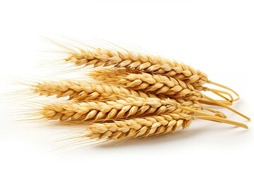 Golden Harvest, Horizontal wheat ears symbolizing abundance and richness, isolated on white with full depth of field,