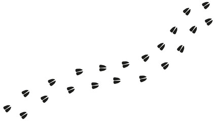 Path footprints of horse, cow, goat, sheep, deer, elk, antelope. Artiodactyl hooves. Horse tracks. Trail of wild horse. Silhouette. Vector isolated. Pet shop, print, textile, game, postcard, booklet © Jafree