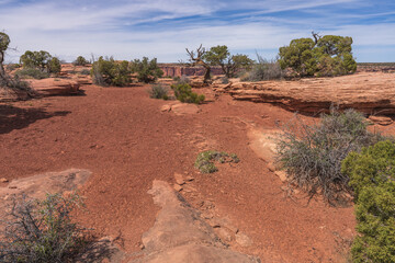 hiking the dead horse trail in dead horse point state park in utah, usa