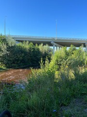 bridge over the river