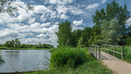 Fototapeta na wymiar Beautiful landscape park, called Het Abtwoudse Bos, on the border of the city of Delft, Netherlands. The forest with many water streams and small bridges was built 40 years ago.in a polder
