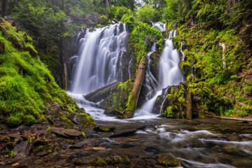 Lush and Silky National Creek Falls