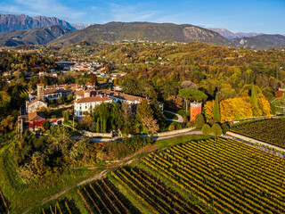 Autumnal magic and emotions on the ancient village. Between vineyards and colorful woods. Friuli. Top view - 639014949