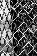 Fototapeta premium A security chain link fence in black and white.