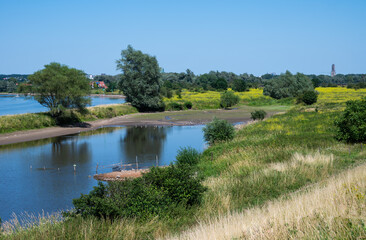 Fototapeta na wymiar Nature reserve with colorfull heather over blue sky around Arnhem, the Netherlands