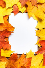 Autumn festive card template. Blank white paper mockup with fallen autumn dried leaves on wooden table background. Colorful, variegated foliage. Flat lay, top view, copy space.