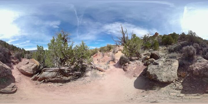 Petrified Forest State Park hiking path, Escalante Utah (Equirectangular 360 VR)