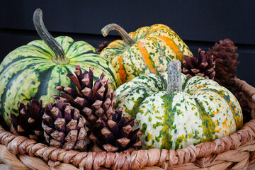 Autumn harvest seasonal gourds and pinecones decoration in a weave basket