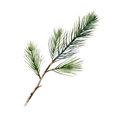 Pine branch watercolour illustration. clipart for design. Christmas elements. isolated on transparent background. Generative ai