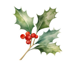 Holly leaves and berry watercolour illustration. clipart for design. Christmas elements. isolated on transparent background. Generative ai