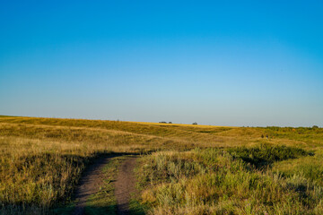 Naklejka premium landscape in the countryside