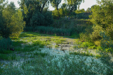 Landscape overlooking the river