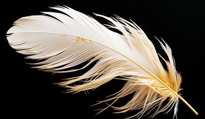 Closeup of white feather on black background. AI generated