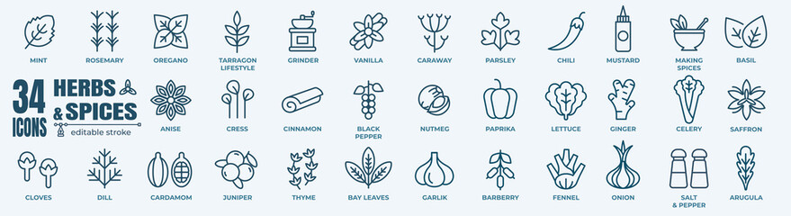 Herbs and spices - minimal thin line web icon set. Outline icons collection. Simple vector...