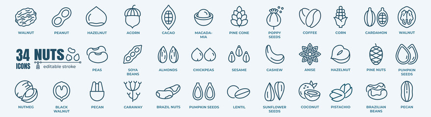Nuts flat line icons set. Peanut, almond, chestnut, macadamia, cashew, pistachio, pine seeds vector...