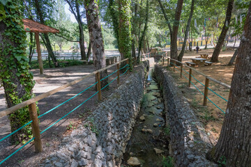 Fototapeta premium Parque da seara, conselho de Oliveira do Bairro, Distrito de Aveiro, Portugal 26 de julho de 2023.