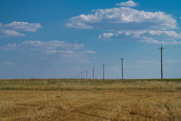 Fototapeta premium path through the field